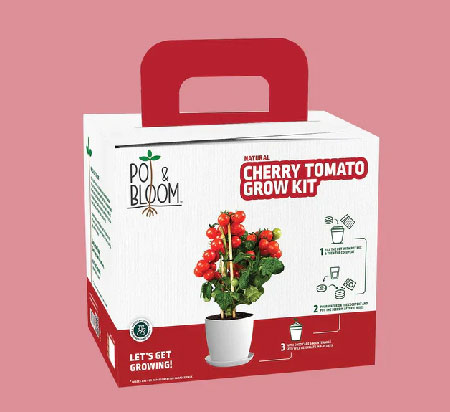 Buy THE BODY SHOP GIFT SET PACK OF 5